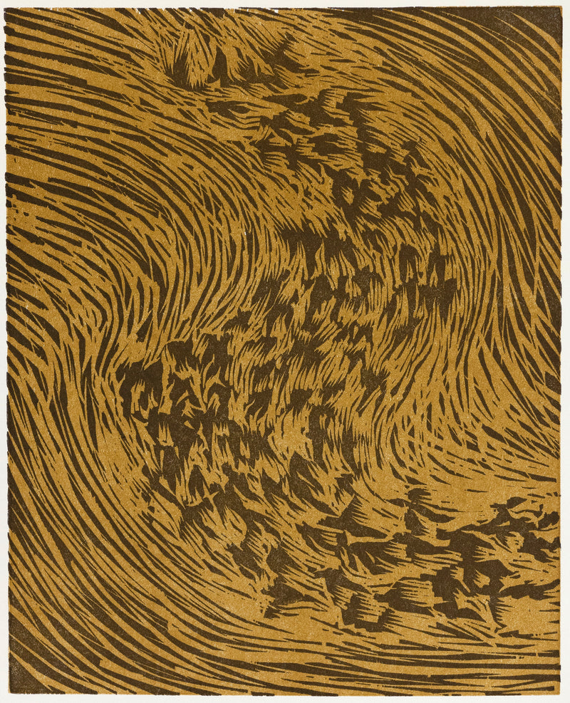 James Nares, Starling, Print, 1990, Caviar20