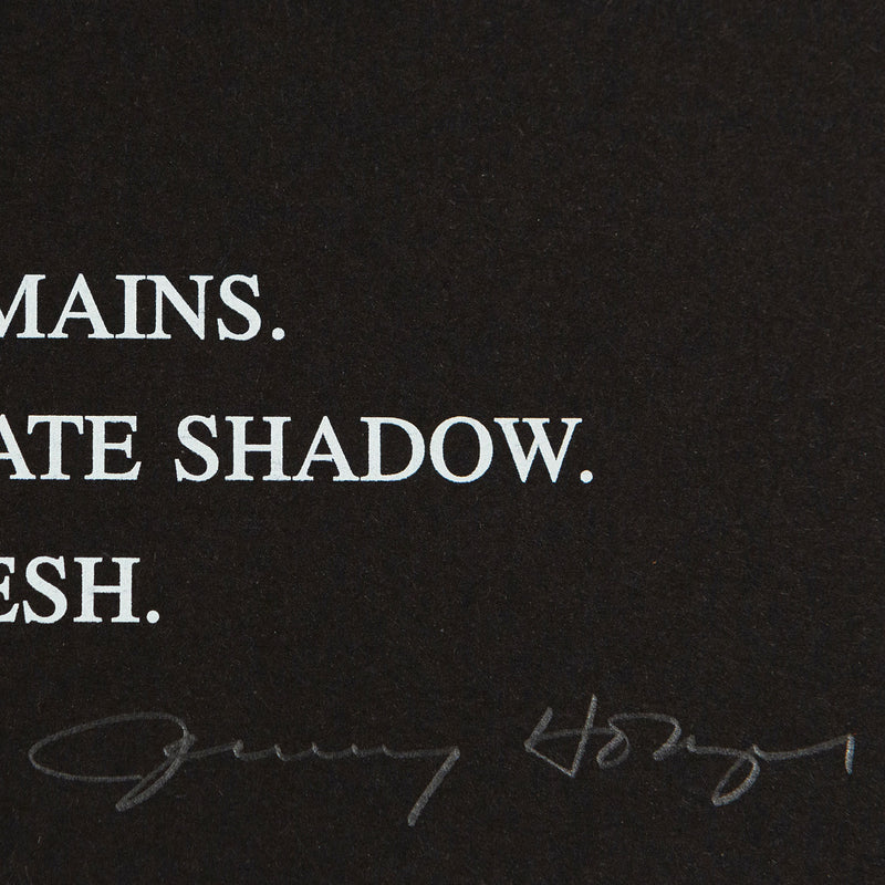 Jenny Holzer, Black Garden, dyptique, 1997,  Color silkscreens on cardboard, Caviar20