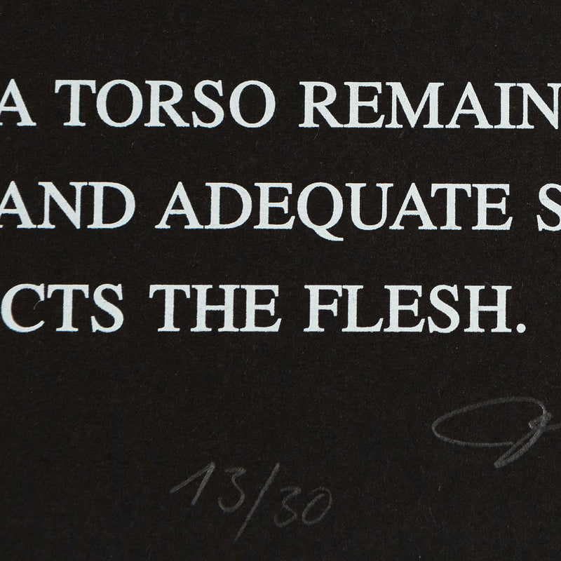 Jenny Holzer, Black Garden, dyptique, 1997,  Color silkscreens on cardboard, Caviar20