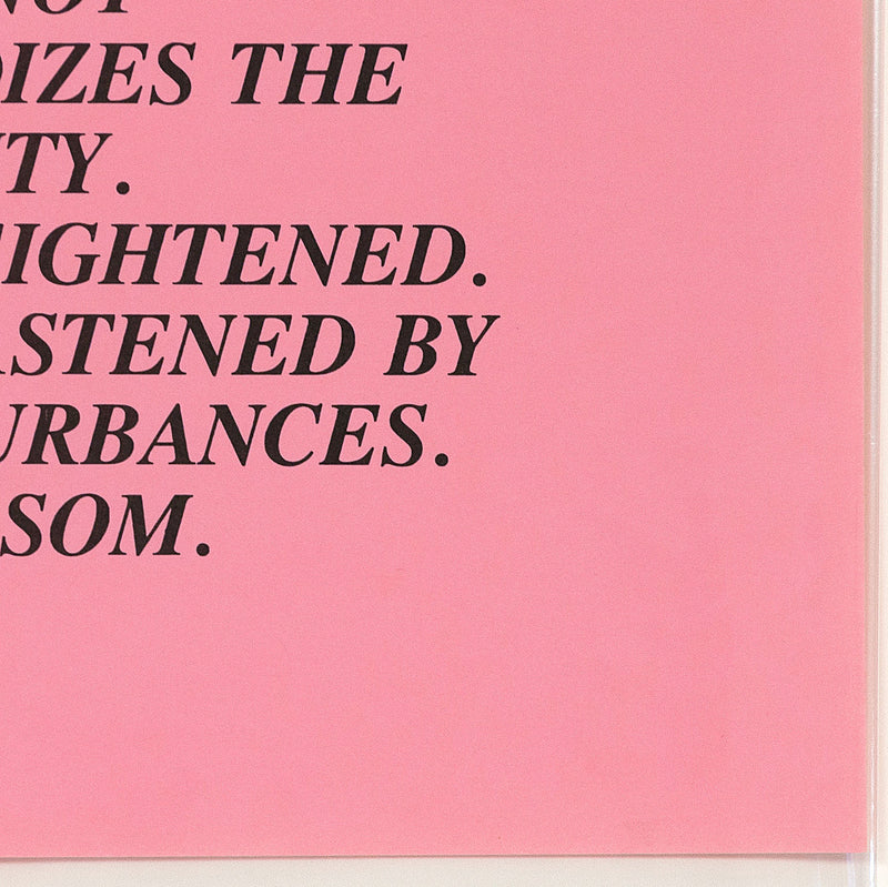 Jenny Holzer Inflammatory Essay Caviar20