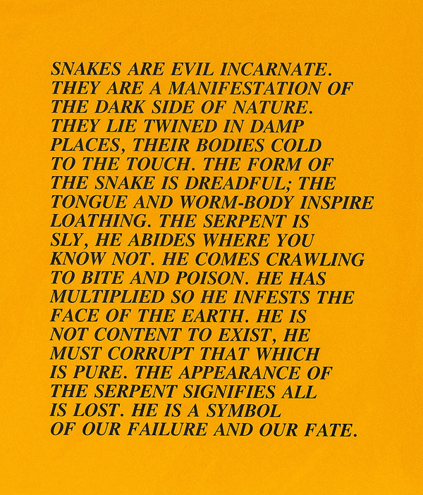 Jenny Holzer Inflammatory Essay Caviar20