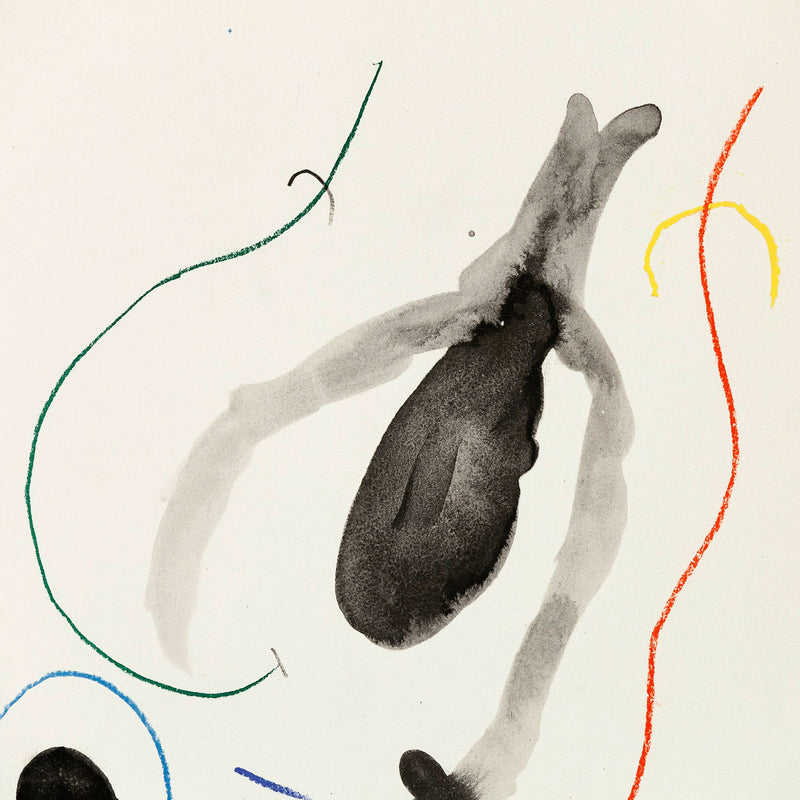 JOAN MIRO QUELQUES FLEURS Ionesco prints lithographs
