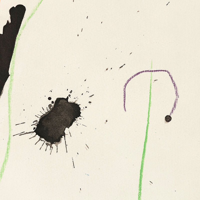Quelques fleurs Dupréau Miro 1964 Caviar20