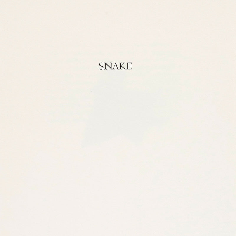 Joel Shapiro, Snake, Wood Cut print, 1990, Caviar20