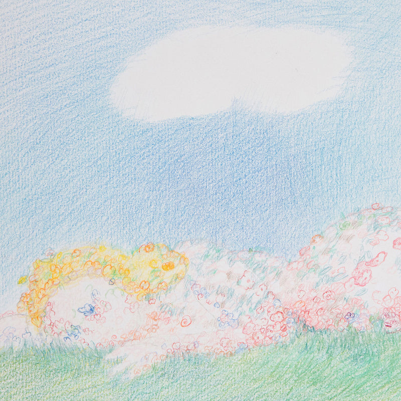 "Sleeping Goddess (Study for Venus of Scarborough)"  Canada, 1982  Colored pencil on paper  Signed, dated, and titled with an inscription by the artist   15"H 22"W (work)  Very good condition