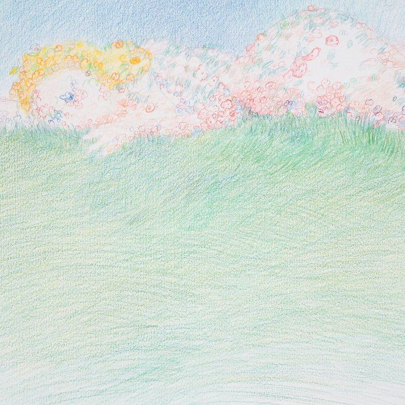 "Sleeping Goddess (Study for Venus of Scarborough)"  Canada, 1982  Colored pencil on paper  Signed, dated, and titled with an inscription by the artist   15"H 22"W (work)  Very good condition
