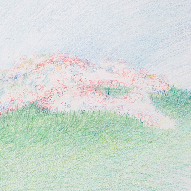 "Sleeping Goddess (Study for Venus of Scarborough)"  Canada, 1982  Colored pencil on paper  Signed, dated, and titled with an inscription by the artist   15"H 22"W (work)  Very good condition