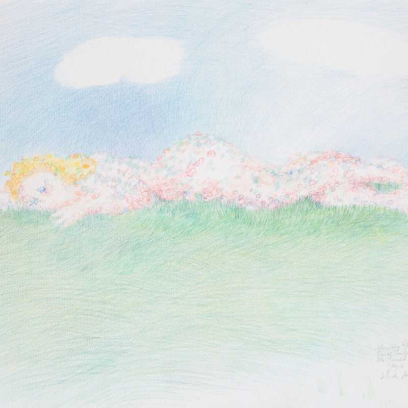 "Sleeping Goddess (Study for Venus of Scarborough)"  Canada, 1982  Colored pencil on paper  Signed, dated, and titled with an inscription by the artist   15"H 22"W (work)  Very good condition