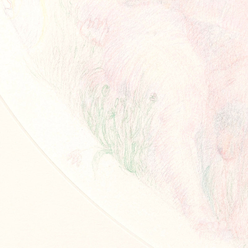 JOYCE WIELAND 'BELOVED ROSE' DRAWING, 1981