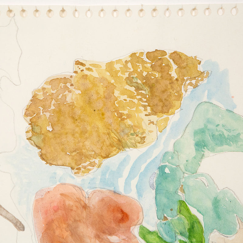 Joyce Wieland landscape Caviar20