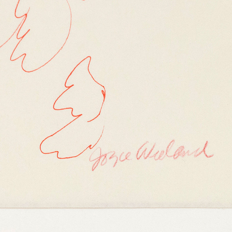 Caviar20 Joyce Wieland Red Clouds