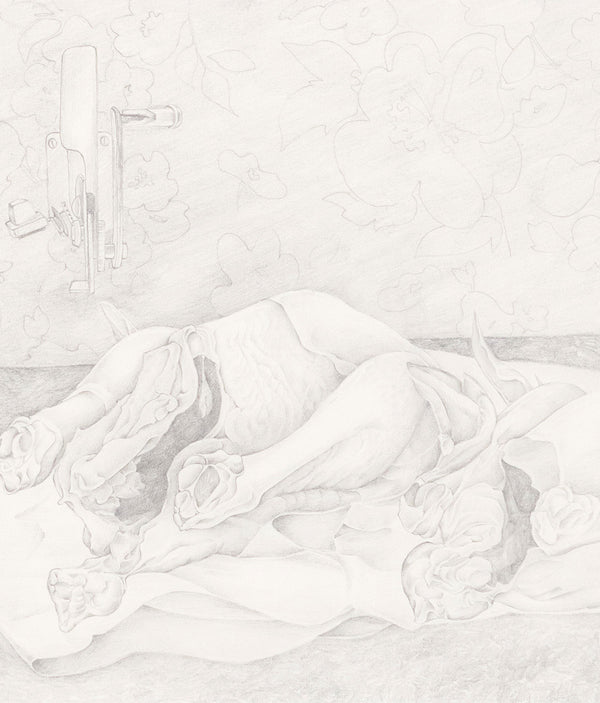 Mary Pratt "Study for Eviscerated Chickens" Drawing, 1971. Pencil on paper. Mary  Pratt portrays the obscenities of domestic life by rendering entrails of a raw chicken. A boisterous floral wallpaper serves as a lively backdrop to this otherwise grotesque scene.