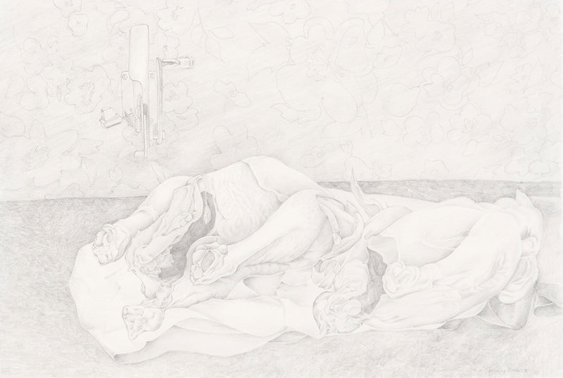 Mary Pratt "Study for Eviscerated Chickens" Drawing, 1971. Pencil on paper. Mary  Pratt portrays the obscenities of domestic life by rendering entrails of a raw chicken. A boisterous floral wallpaper serves as a lively backdrop to this otherwise grotesque scene.