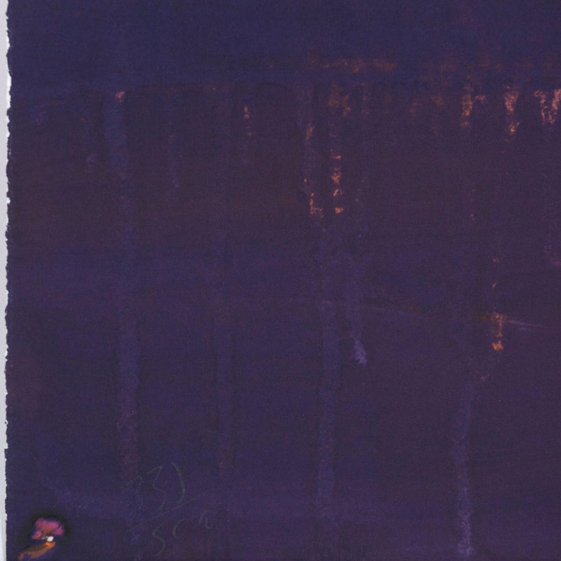 PETER DOIG "CANOE" AQUATINT, 2008