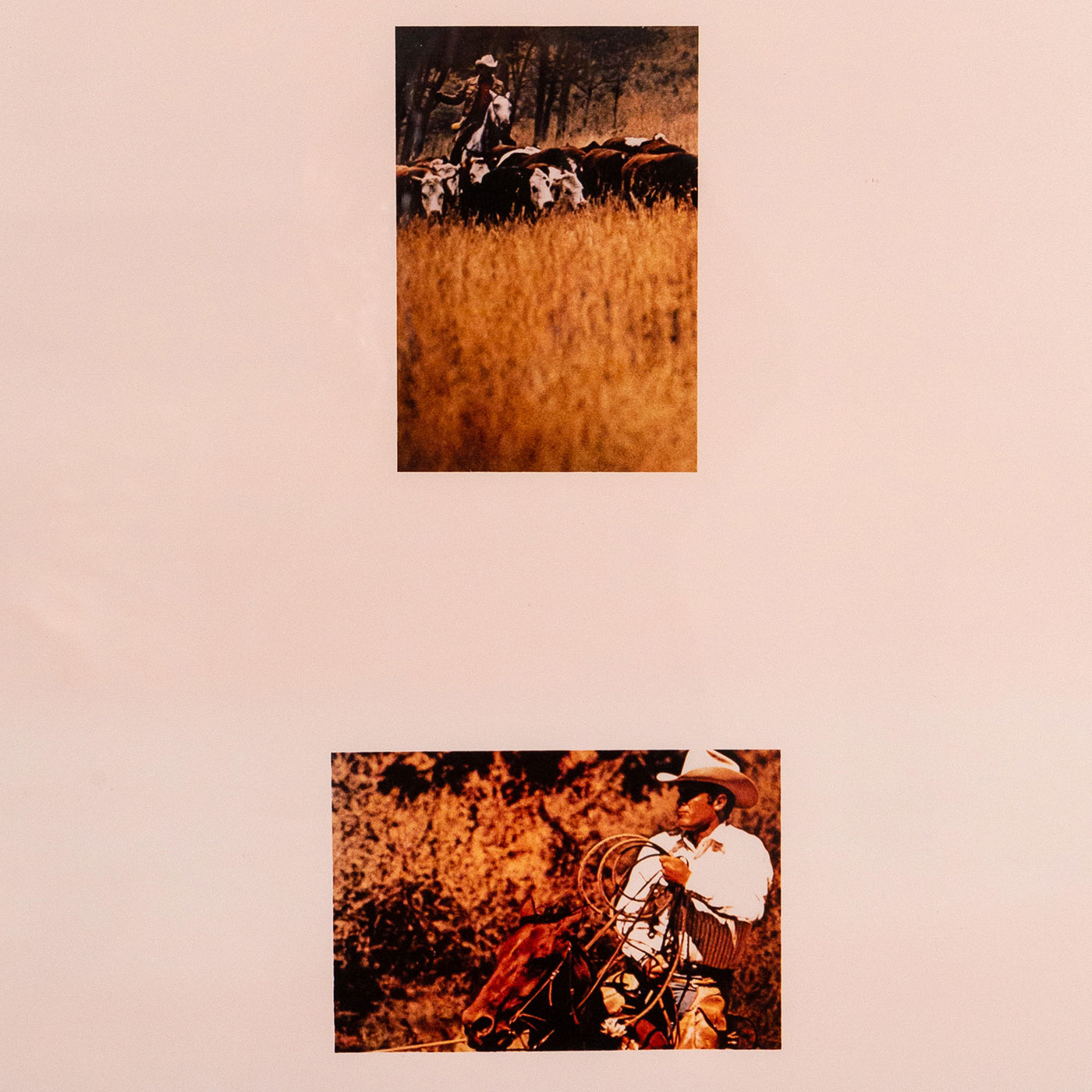 アート・デザイン・音楽 Richard Prince Four Cowboys Richard Prince: Four Cowboys, Other Criteria, 2010