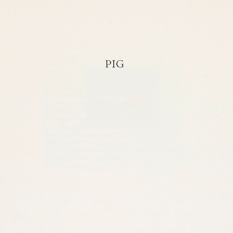 RICHARD TUTTLE "PIG", 1990