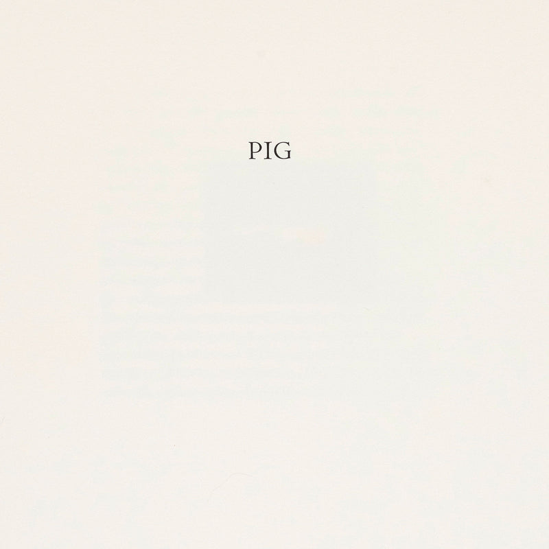 richard tuttle print caviar20 bestiary