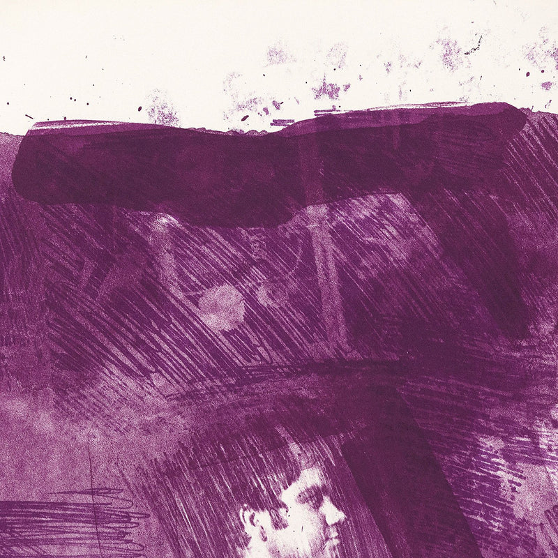Robert Rauschenberg Flowers Re-run print Caviar20