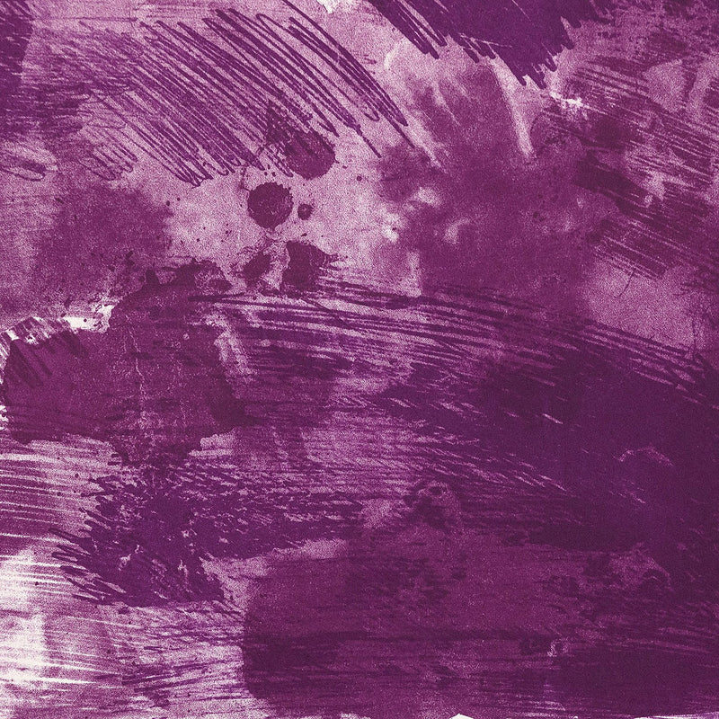 Robert Rauschenberg Flowers Re-run print Caviar20