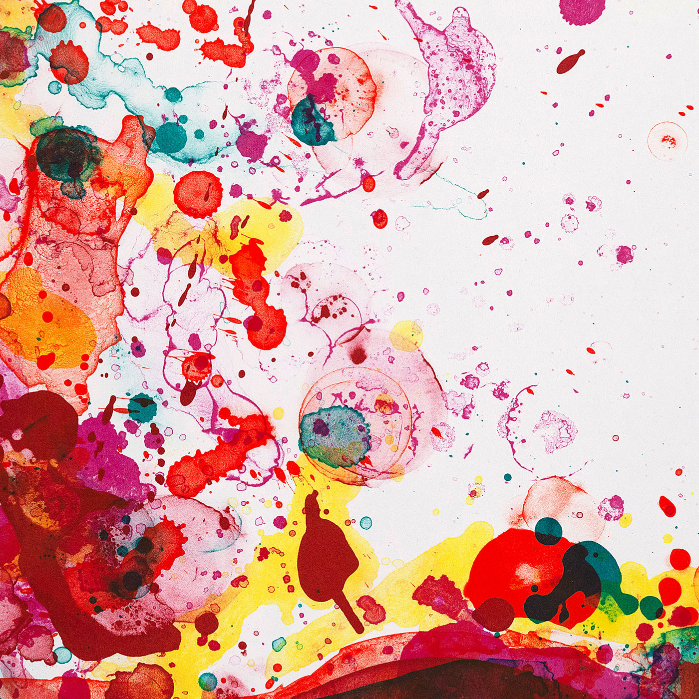 SAM FRANCIS 