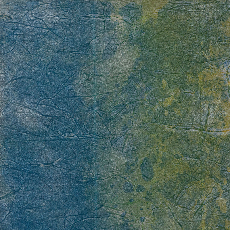Caviar20 Sam Gilliam prints