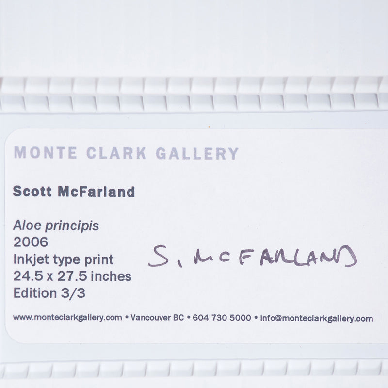Scott McFarland is the most successful conceptual photographer from the third generation of artists associated with “The Vancouver School.”   During his bachelor’s in visual art at UBC, McFarland studied alongside acclaimed artists such as Roy Arden and Liz Magor and worked as a studio assistant to Jeff Wall.  McFarland’s large-scale photographs are compilations of multiple digital images printed within a single frame.
