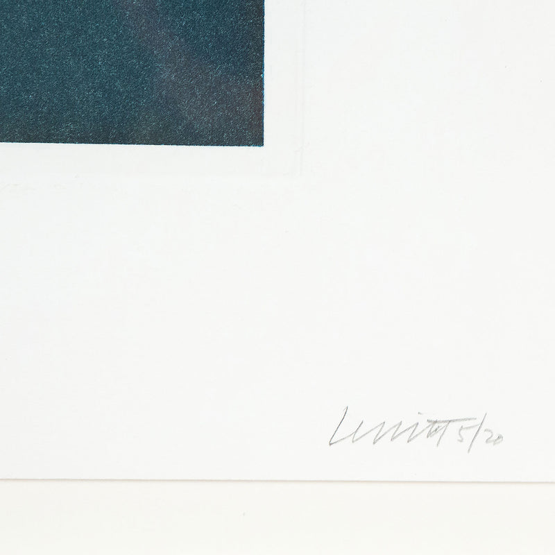 Sol Lewitt, Forms Derived from a Cubic Rectangle, #12 Aquatint, print, 1990, Caviar20 prints, closeup of work showing artist signature