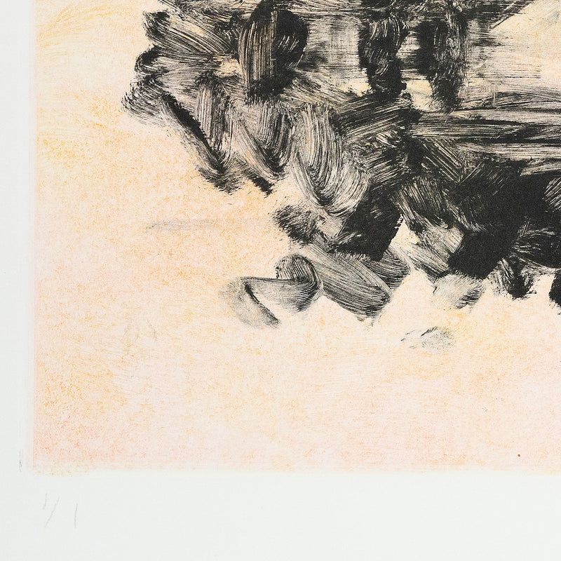 Tony Scherman, Landscape, Monoprint, 2003, Caviar 20, Canadian Artist