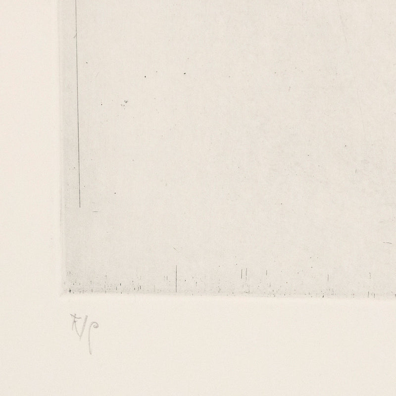 Tony Scherman, Bouquet, Aquatint, 2001, limited edition, shows initials/numbering