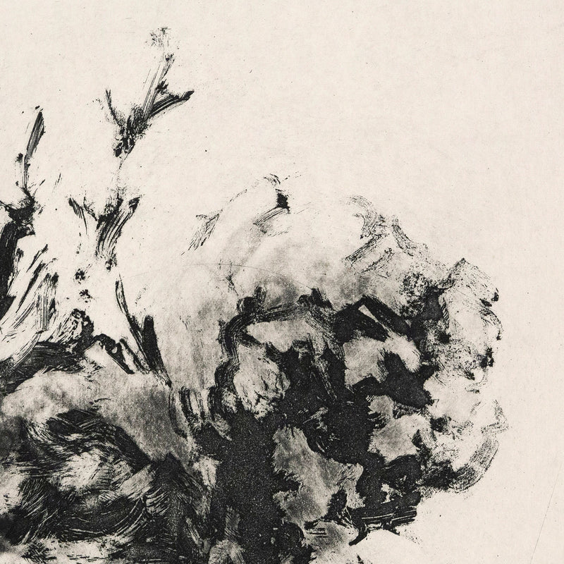 Tony Scherman, Bouquet, Aquatint, 2001, limited edition, close-up