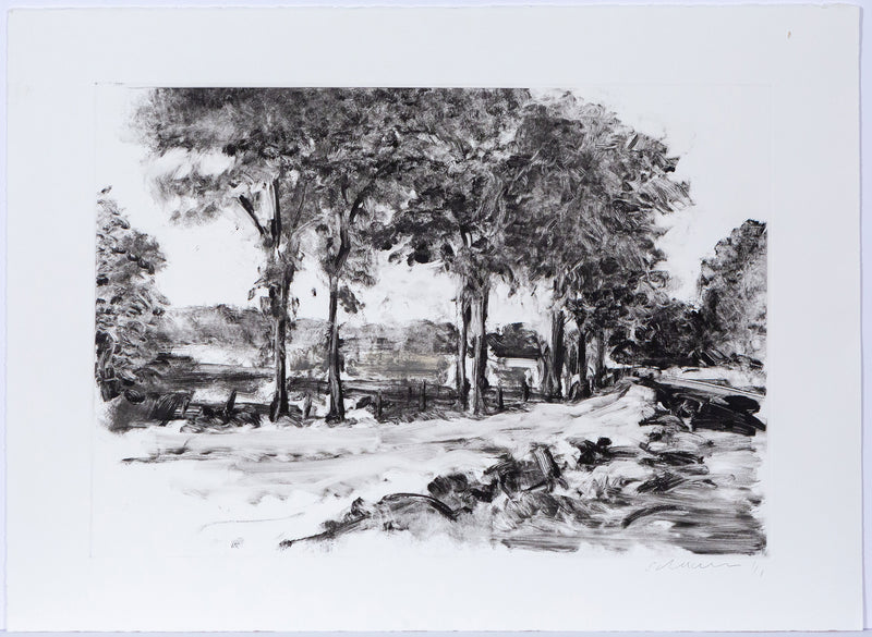 Tony Scherman, Landscape X, Monoprint, 2003 Caviar20