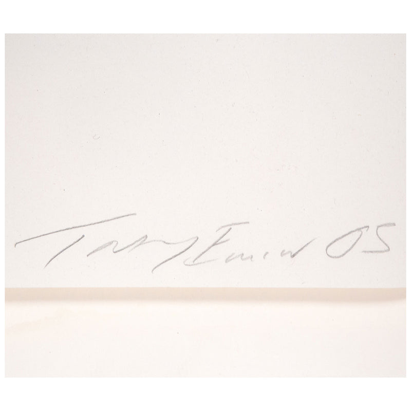 Tracey Emin, About Sex, Lithograph, 2005, Caviar20, close up showing artist signature and date