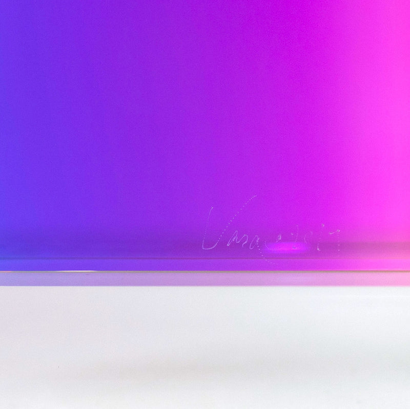 VASA MIHICH "PURPLE MONUMENT" 2016
