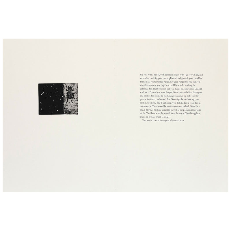 Bradford Morrow Bestiary Vija Celmins