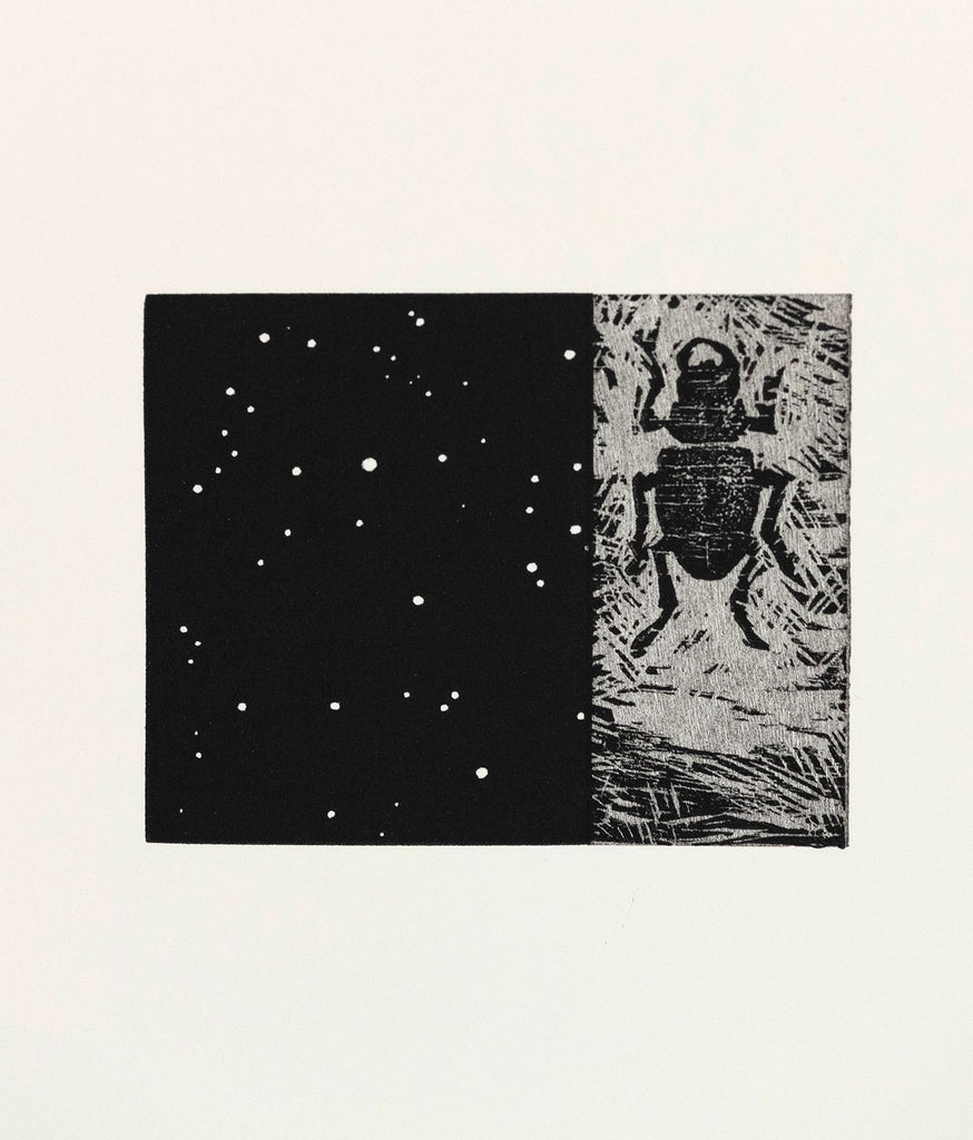 Vija Celmins. Starfield. 2010 | MoMA