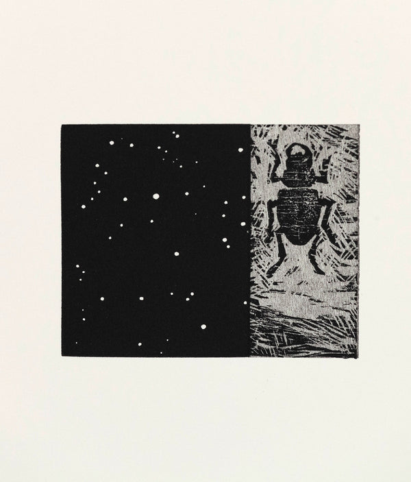 Bradford Morrow Bestiary Vija Celmins