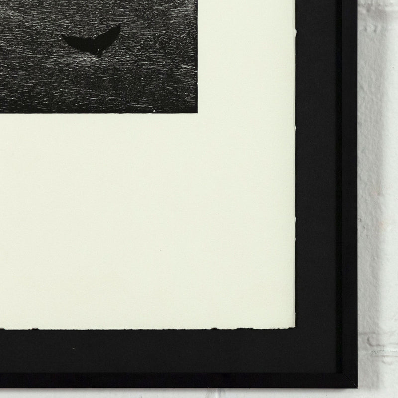 Bradford Morrow Bestiary Vija Celmins