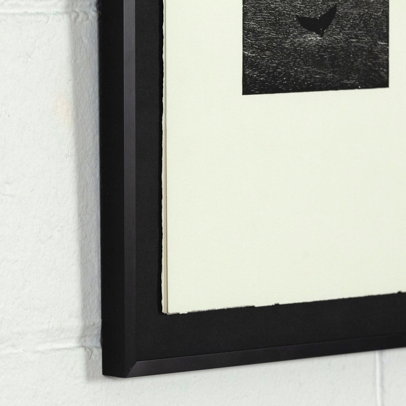 Bradford Morrow Bestiary Vija Celmins