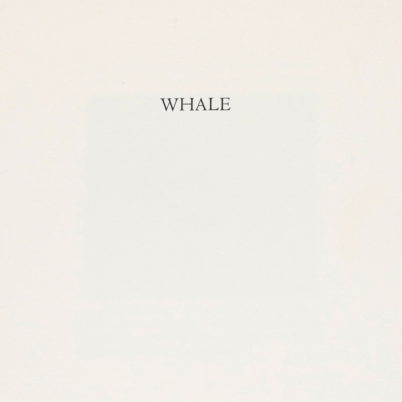 Bradford Morrow Bestiary Vija Celmins