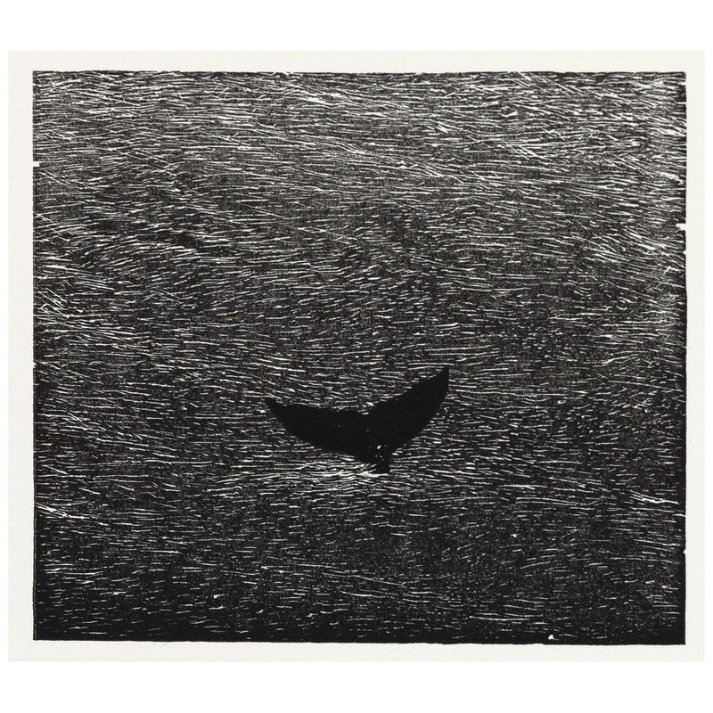Bradford Morrow Bestiary Vija Celmins