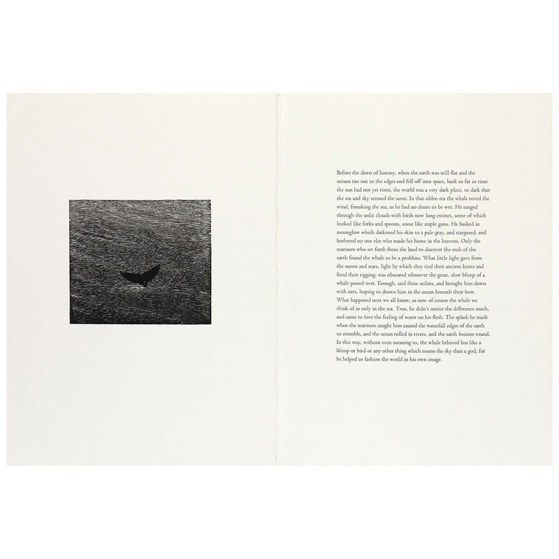 Bradford Morrow Bestiary Vija Celmins