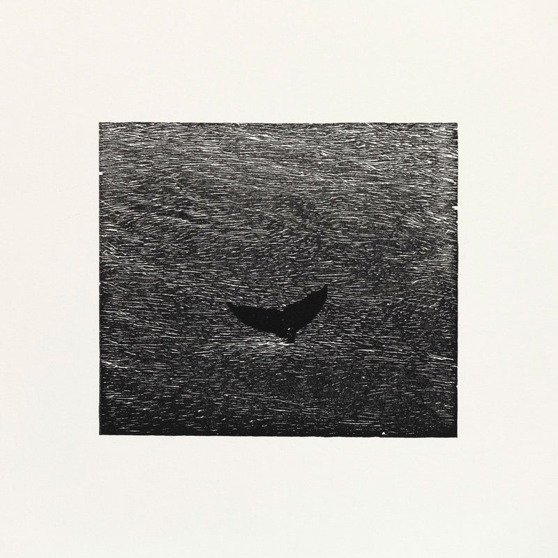 Bradford Morrow Bestiary Vija Celmins