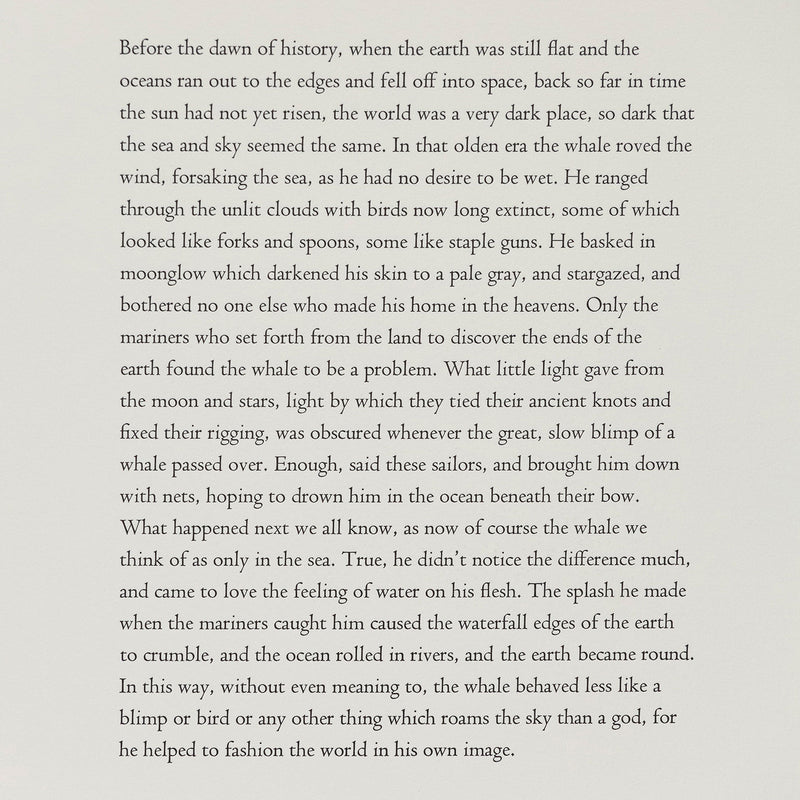 Bradford Morrow Bestiary Vija Celmins