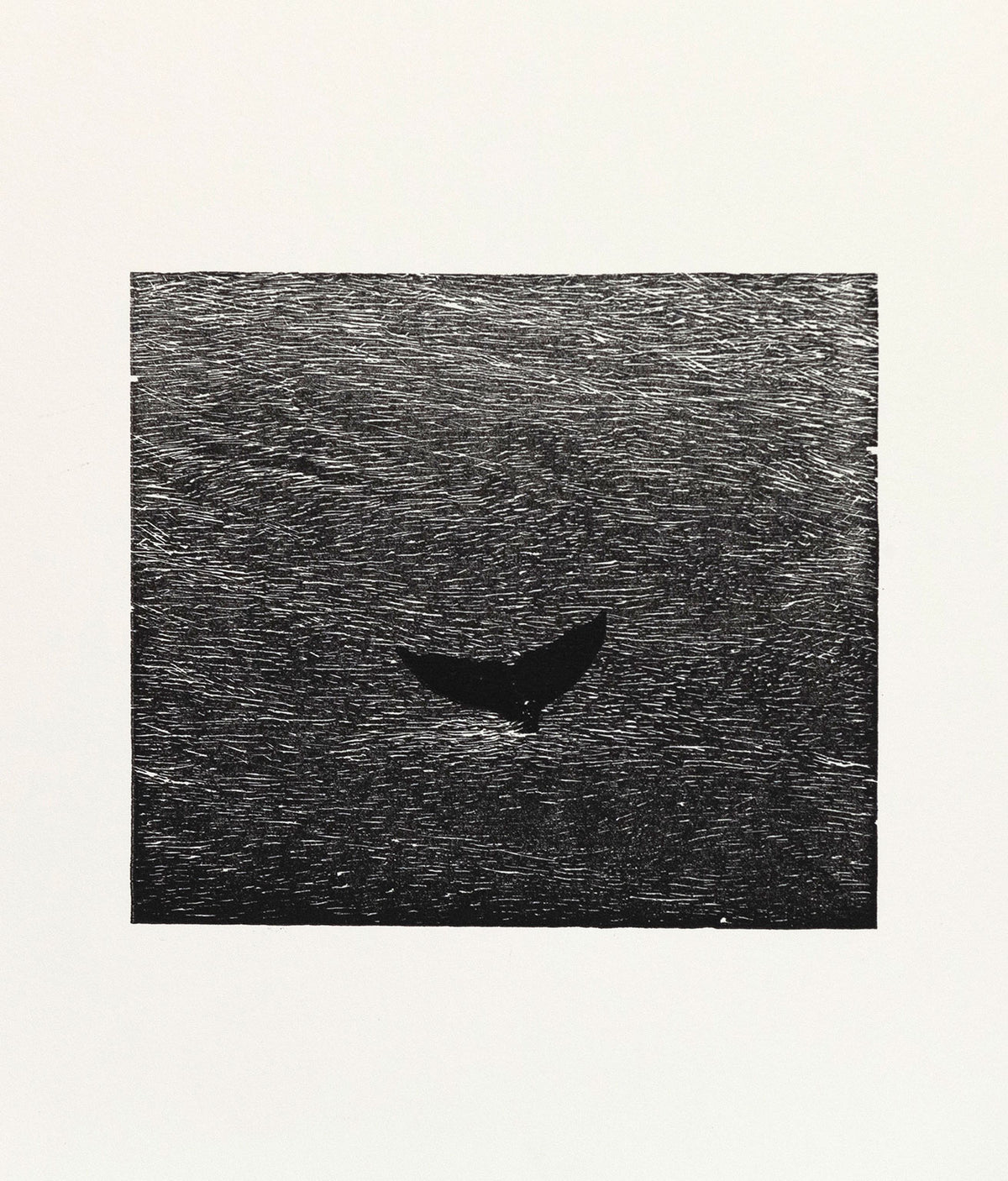 Caviar20_Vija-Celmins-A-