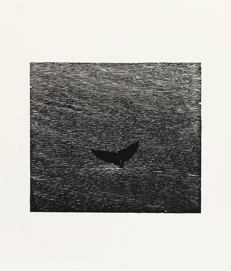 Bradford Morrow Bestiary Vija Celmins