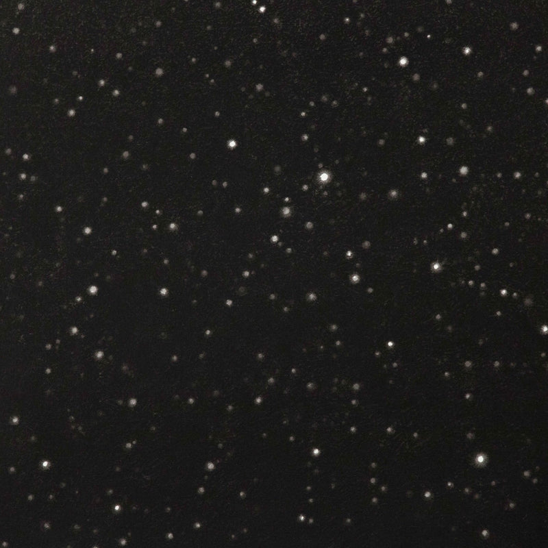Vija Celmins Night sky 2005 photograph Caviar20
