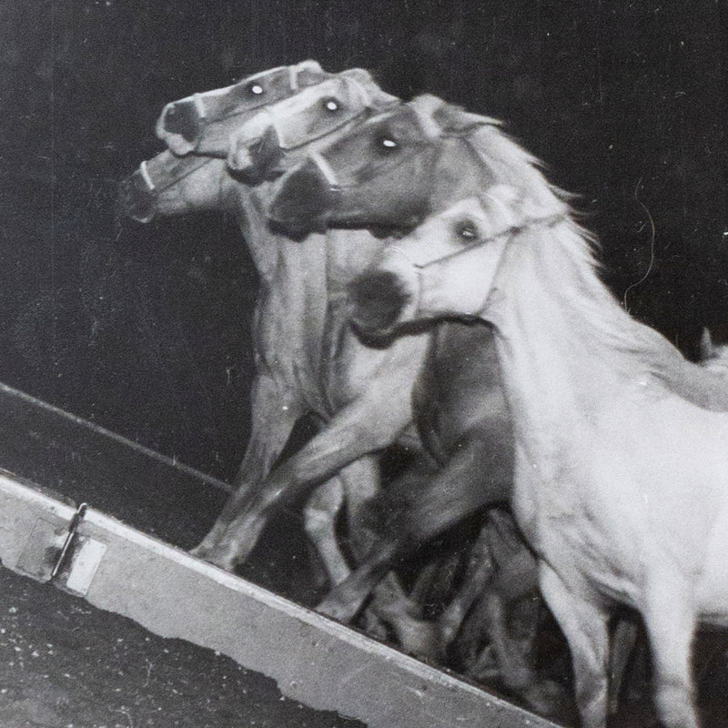 Weegee, black and white photograph, Horses, Circus, 1948