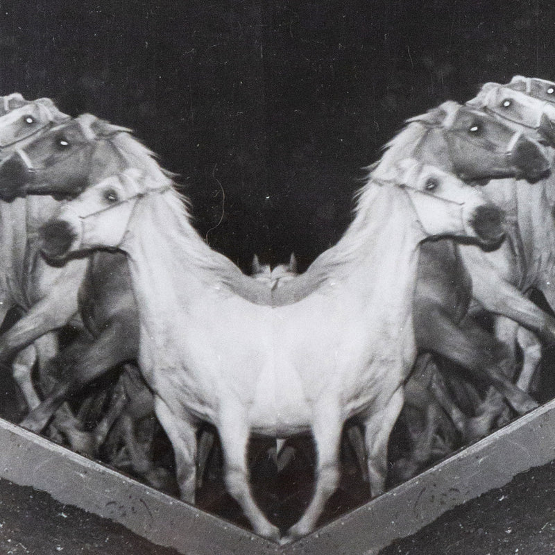 Weegee, black and white photograph, Horses, Circus, 1948