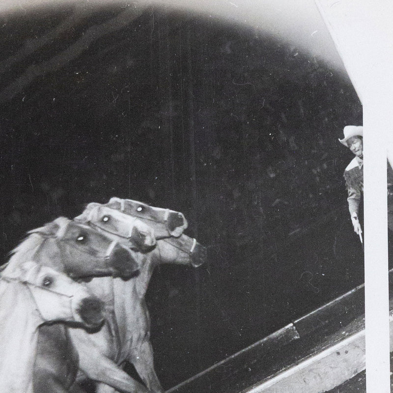 Weegee, black and white photograph, Horses, Circus, 1948