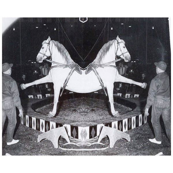 Weegee, black and white photograph, Horses, Circus, 1948